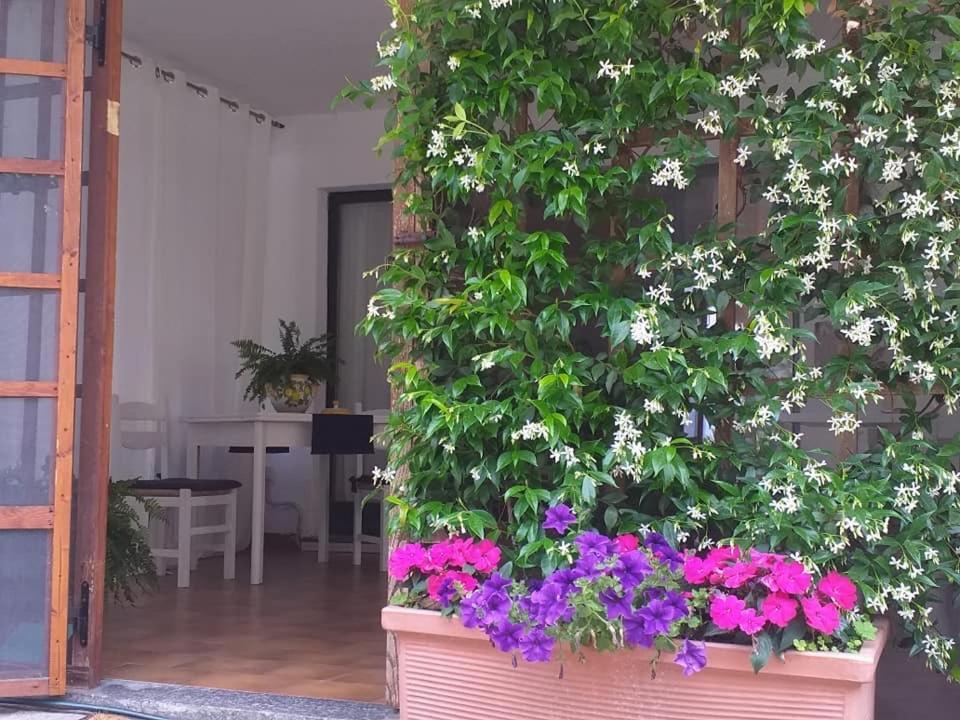 Ghigliotta Apartment Viverone